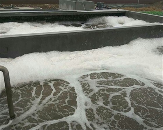 黑偉的污水處理鼓風(fēng)機(jī)質(zhì)量可靠壽命長(zhǎng)！