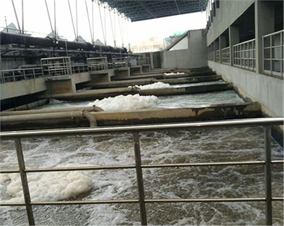 黑偉羅茨風機不僅質(zhì)量好售后更有保障！