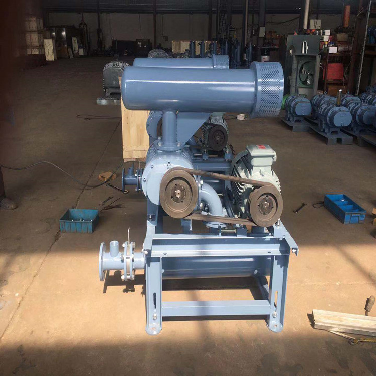 哪些因素影響羅茨鼓風(fēng)機(jī)工作效率？