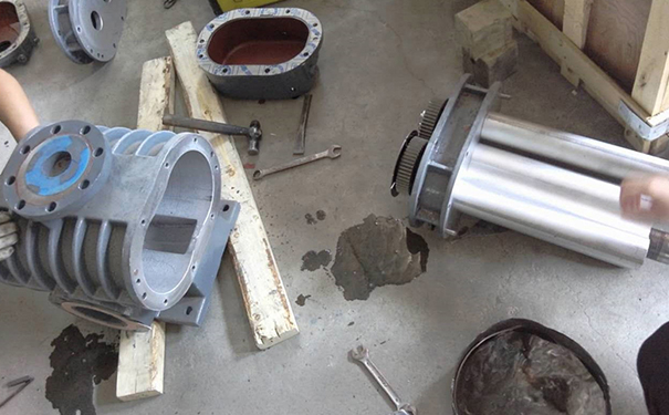 負(fù)壓羅茨風(fēng)機(jī)在果蔬真空預(yù)冷中如何縮短冷卻時(shí)間